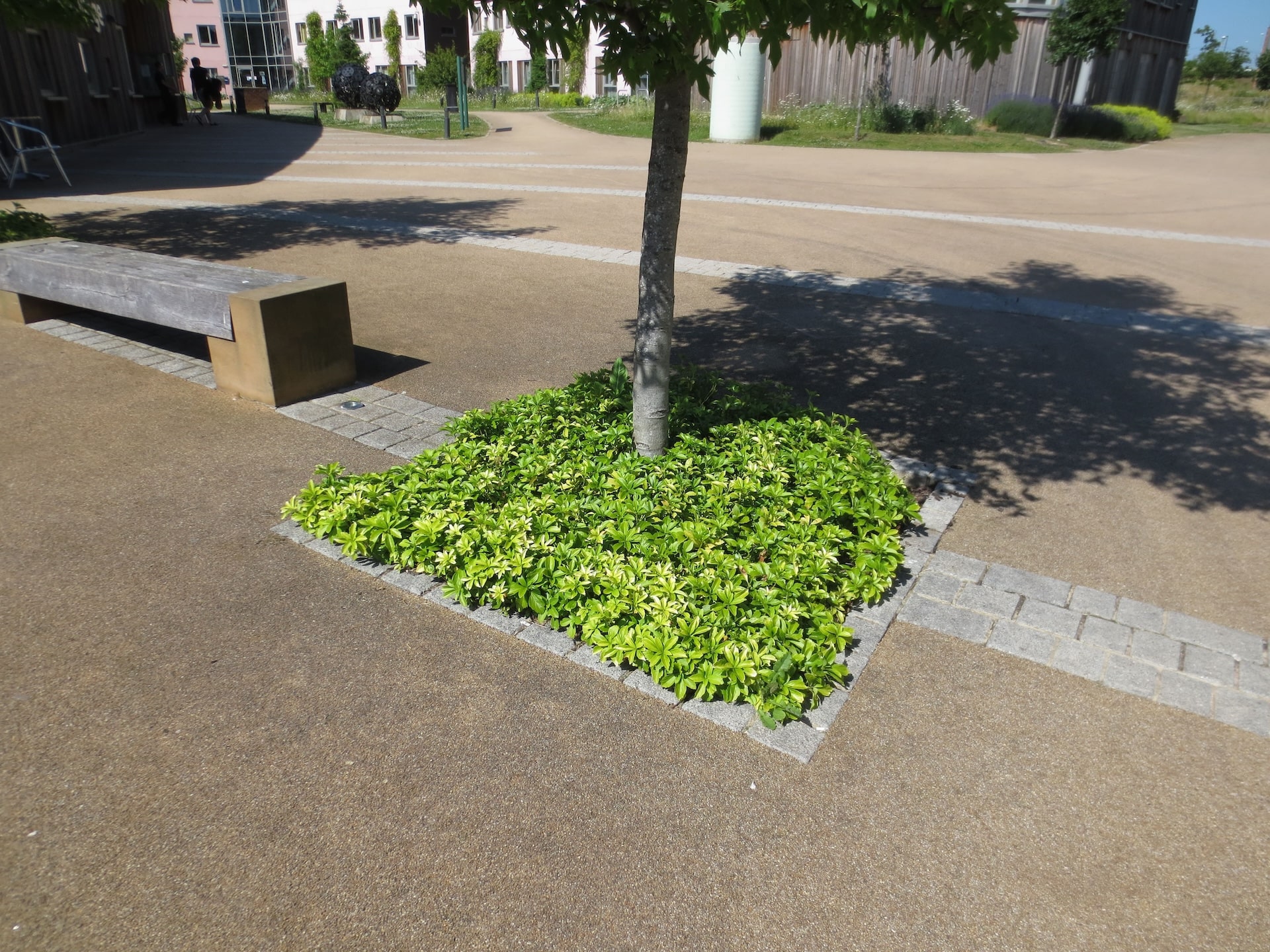 tgp-portfolio-constantine-college-6