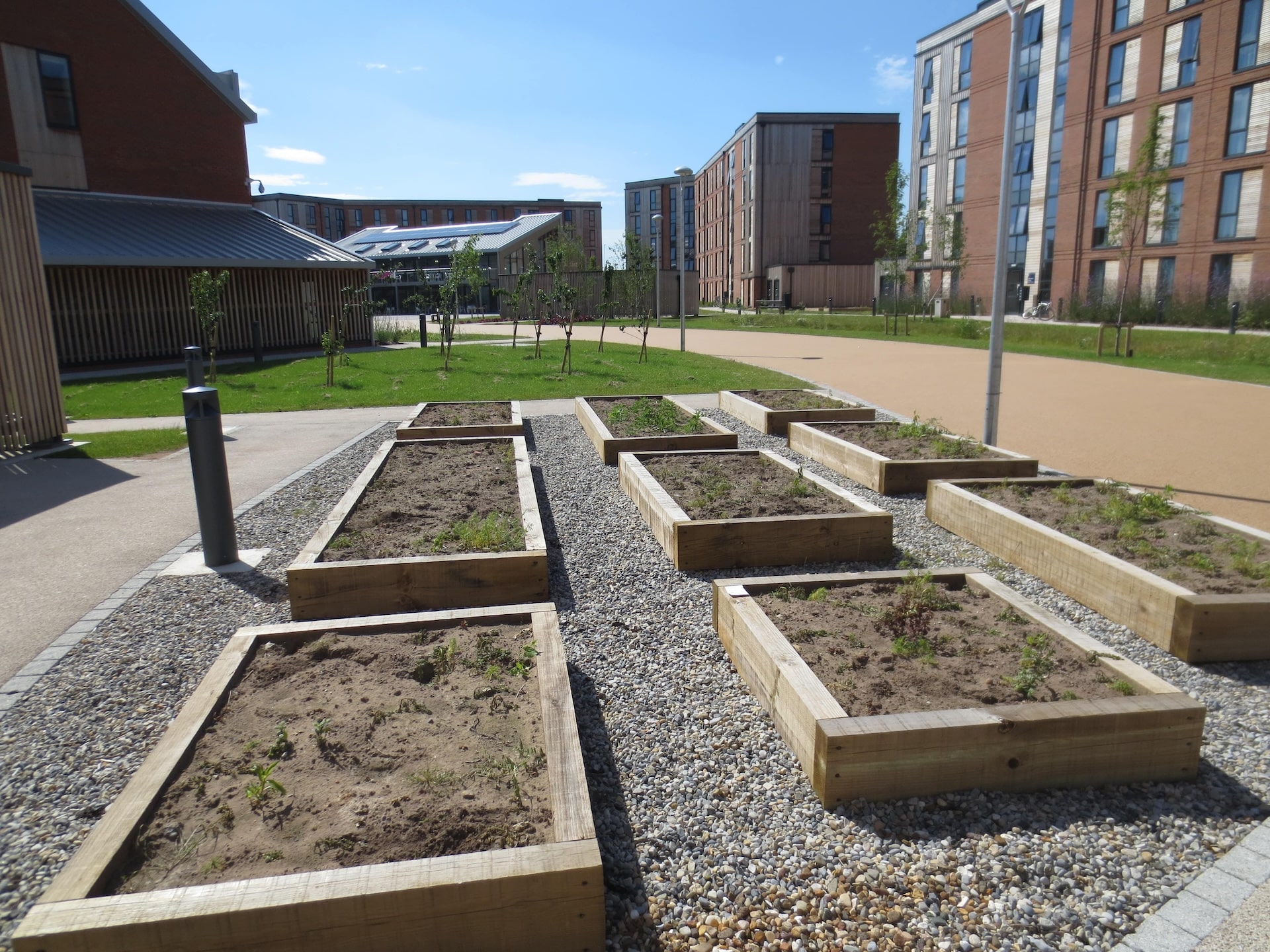 tgp-portfolio-constantine-college-7