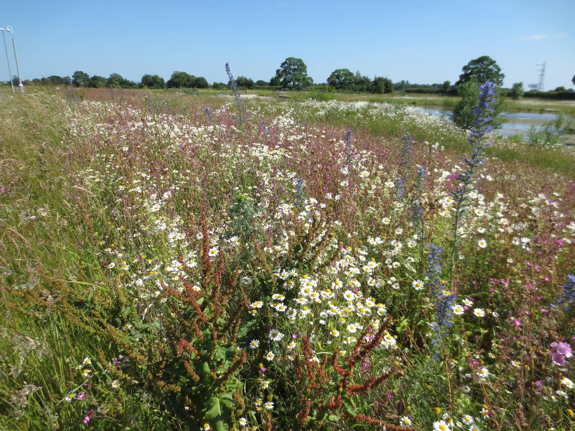tgp-portfolio-uoy-heslington-east-campus-5