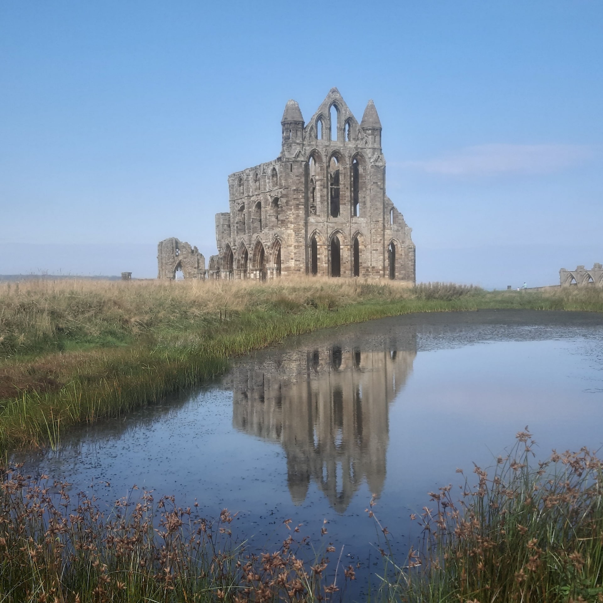 tgp-portfolio-whitby-abbey-headland-1